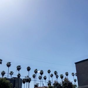 Meet your Posher, Johnson